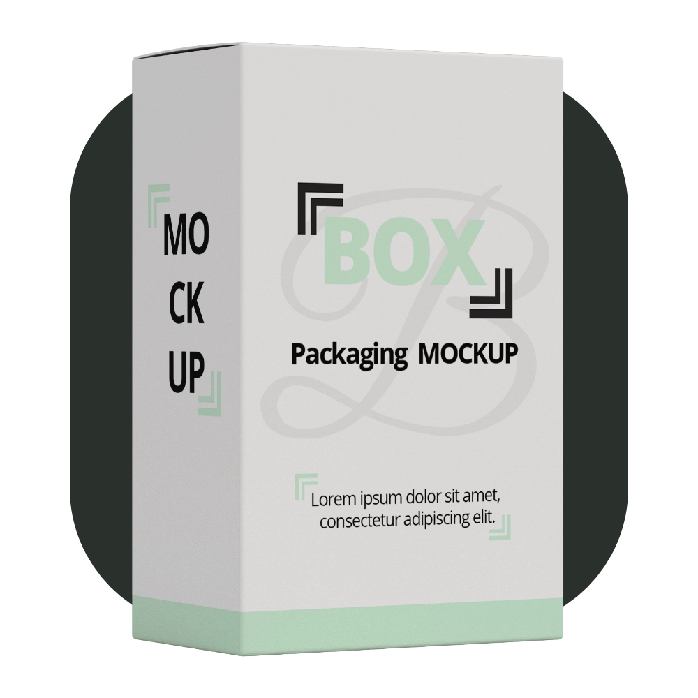 Viet Cuisine Packaging BOX V2