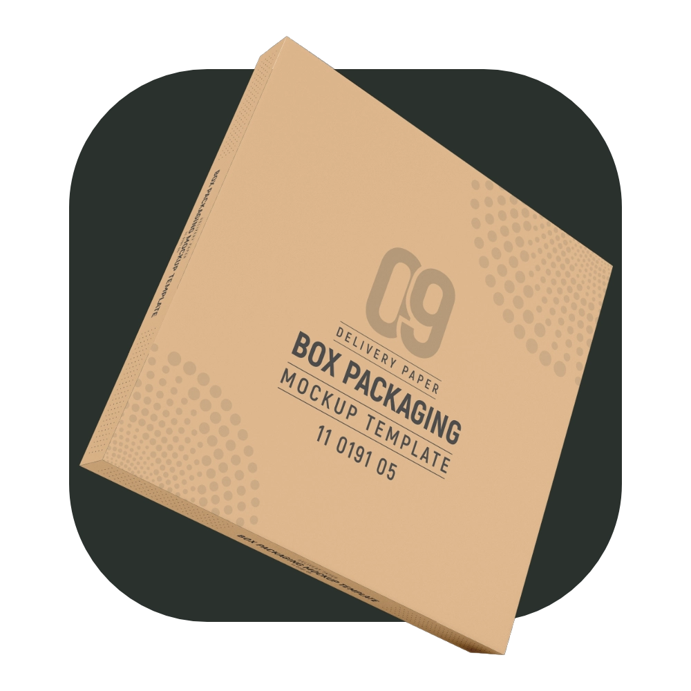 Viet Cuisine Packaging BOX